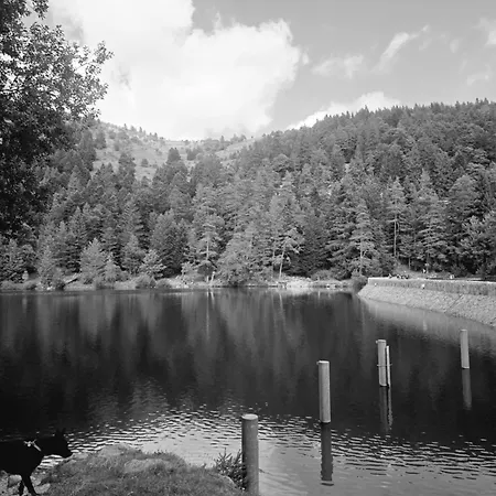 Les Coeurs - Dans Les Hautes-vosges Casa vacanze