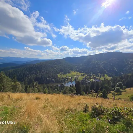 Holiday home Les Coeurs - Dans Les Hautes-vosges Thiefosse