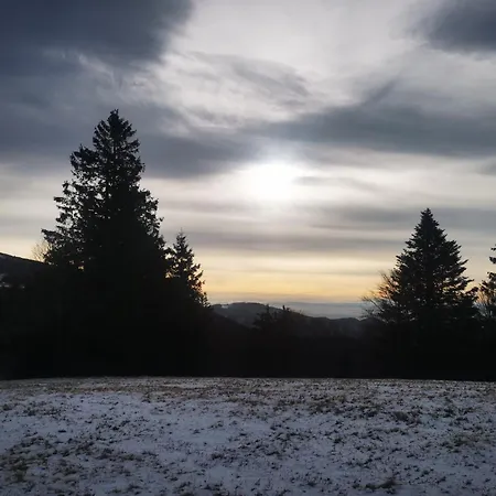 Les Coeurs - Dans Les Hautes-vosges