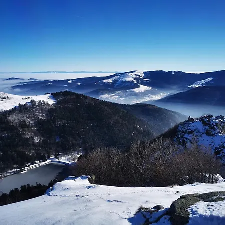 Les Coeurs - Dans Les Hautes-vosges *