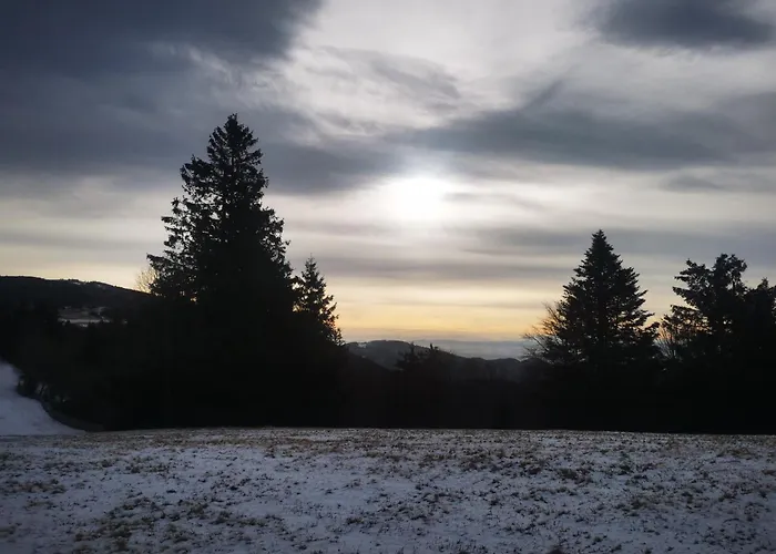 Les Coeurs - Dans Les Hautes-vosges